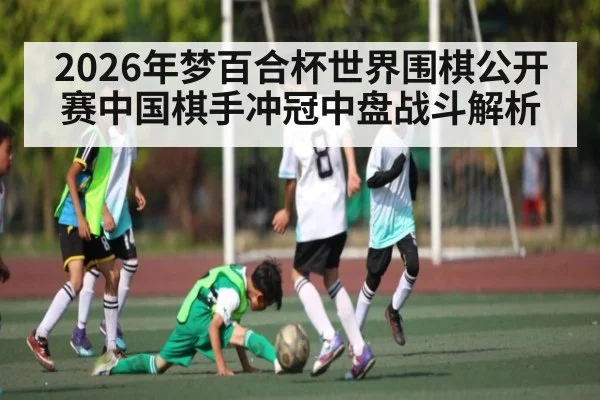 2026年梦百合杯世界围棋公开赛中国棋手冲冠中盘战斗解析